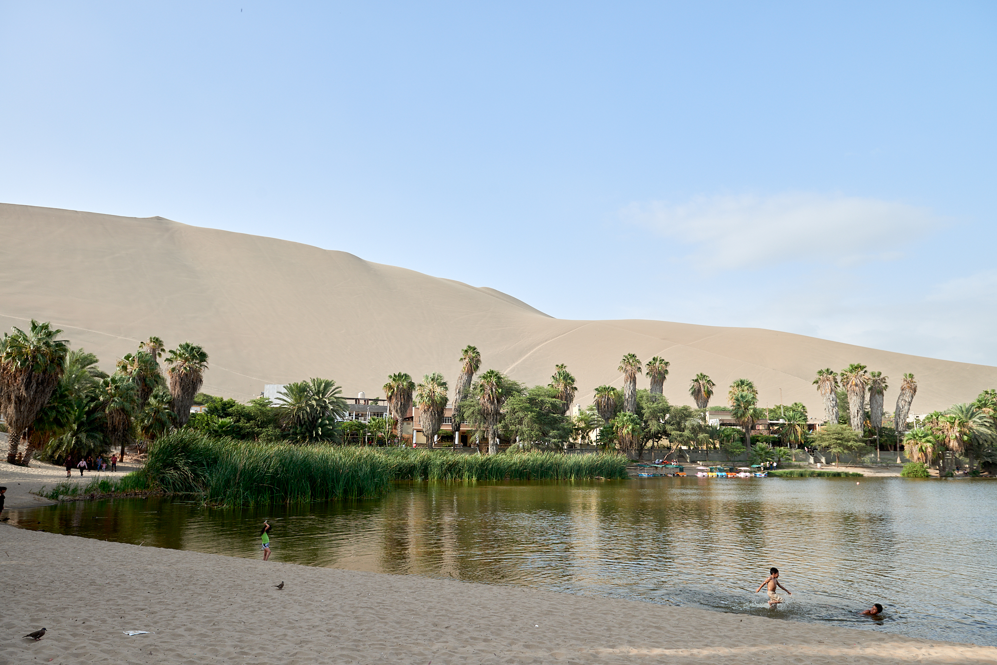 20200303 078 [페루] 와카치나